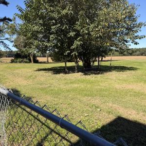 Photo #71 of 30491 CHESSER RD, TEMPERANCEVILLE, VA 1.2 acres
