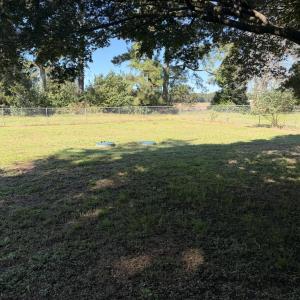 Photo #74 of 30491 CHESSER RD, TEMPERANCEVILLE, VA 1.2 acres