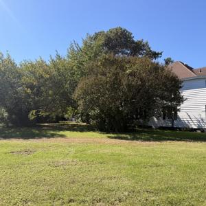 Photo #75 of 30491 CHESSER RD, TEMPERANCEVILLE, VA 1.2 acres