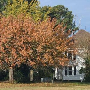 Photo #89 of 30491 CHESSER RD, TEMPERANCEVILLE, VA 1.2 acres