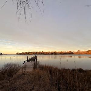 Photo #26 of 19200 POULSON LN, ONANCOCK, VA 2.8 acres