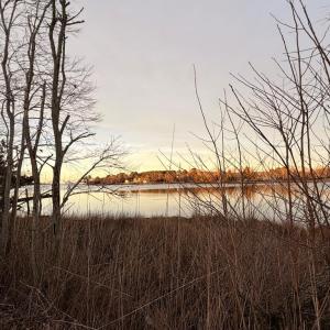 Photo #30 of 19200 POULSON LN, ONANCOCK, VA 2.8 acres