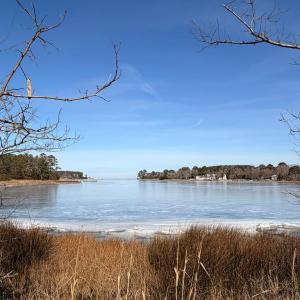 Photo #47 of 19200 POULSON LN, ONANCOCK, VA 2.8 acres