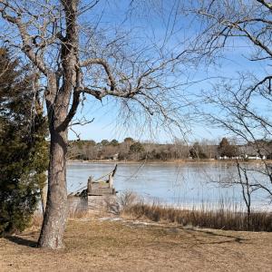 Photo #49 of 19200 POULSON LN, ONANCOCK, VA 2.8 acres