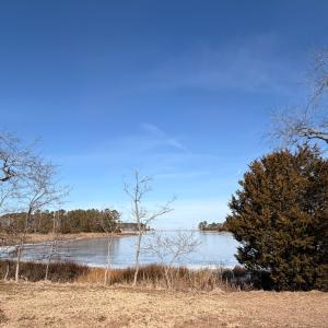 Photo #53 of 19200 POULSON LN, ONANCOCK, VA 2.8 acres