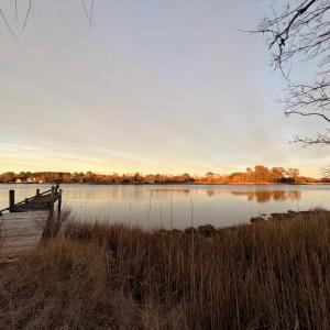 Photo #25 of 19200 POULSON LN, ONANCOCK, VA 2.8 acres