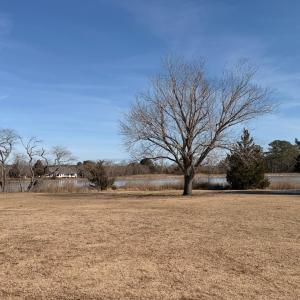 Photo #34 of 19200 POULSON LN, ONANCOCK, VA 2.8 acres