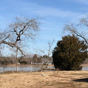 Photo #40 of 19200 POULSON LN, ONANCOCK, VA 2.8 acres