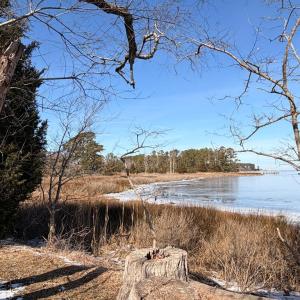 Photo #45 of 19200 POULSON LN, ONANCOCK, VA 2.8 acres