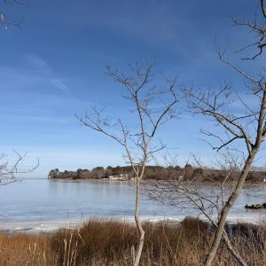 Photo #48 of 19200 POULSON LN, ONANCOCK, VA 2.8 acres