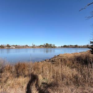 Photo #56 of 19200 POULSON LN, ONANCOCK, VA 2.8 acres