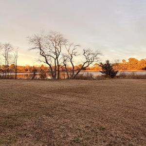 Photo #32 of 19200 POULSON LN, ONANCOCK, VA 2.8 acres