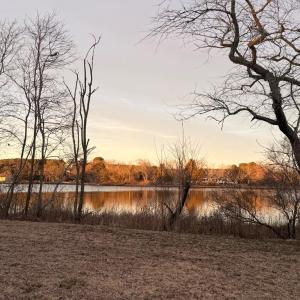 Photo #33 of 19200 POULSON LN, ONANCOCK, VA 2.8 acres