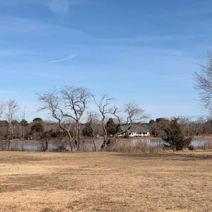 Photo #35 of 19200 POULSON LN, ONANCOCK, VA 2.8 acres