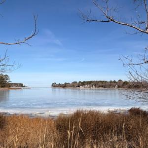 Photo #46 of 19200 POULSON LN, ONANCOCK, VA 2.8 acres