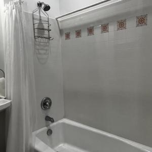 Photo #21 of 653 A&B MONROE AVE, CAPE CHARLES, VA 40.0 acres