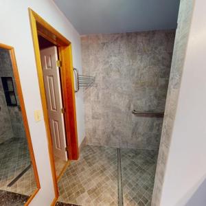 primary ensuite walkin shower