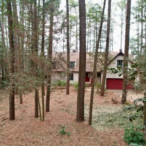 Photo #73 of 25135 MOUNT OREGON DR, ACCOMAC, VA 1.0 acres