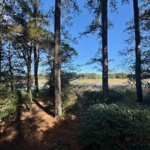 rear yard and creek view