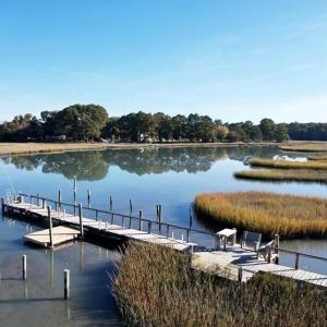 Photo #95 of 25135 MOUNT OREGON DR, ACCOMAC, VA 1.0 acres