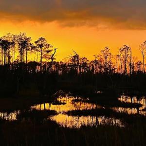 Sunset actoss the marsh