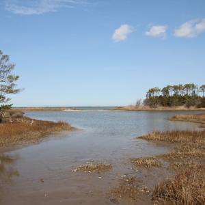 The creek looking towards the Bay