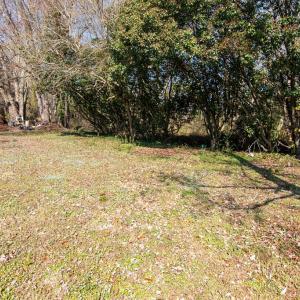 Photo #37 of 29142 PHILLIPS DR, MELFA, VA 0.4 acres