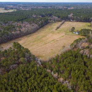 Photo #26 of 16481 SAINT THOMAS ROAD, BLOXOM, VA 53.0 acres