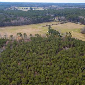 Photo #27 of 16481 SAINT THOMAS ROAD, BLOXOM, VA 53.0 acres