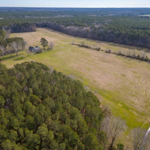 Photo #31 of 16481 SAINT THOMAS ROAD, BLOXOM, VA 53.0 acres