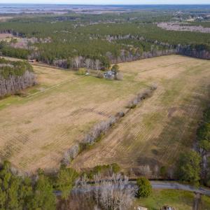 Photo #32 of 16481 SAINT THOMAS ROAD, BLOXOM, VA 53.0 acres