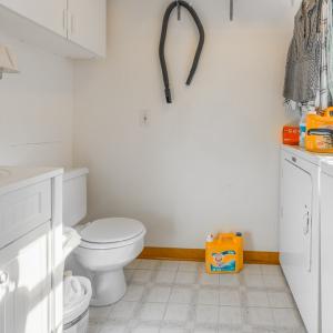 Photo #42 of 16481 SAINT THOMAS ROAD, BLOXOM, VA 53.0 acres