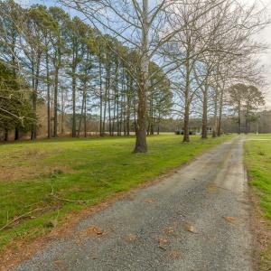 Photo #10 of 16481 SAINT THOMAS ROAD, BLOXOM, VA 53.0 acres