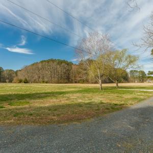 Photo #12 of 16481 SAINT THOMAS ROAD, BLOXOM, VA 53.0 acres