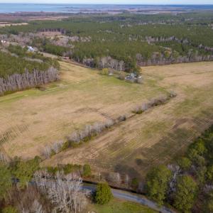 Photo #22 of 16481 SAINT THOMAS ROAD, BLOXOM, VA 53.0 acres