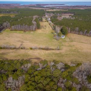 Photo #23 of 16481 SAINT THOMAS ROAD, BLOXOM, VA 53.0 acres