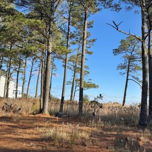 Photo #10 of Lot 720 CASTAWAY DR, GREENBACKVILLE, VA 8.0 acres