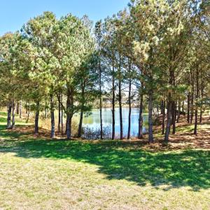 Photo #9 of 3231 TOWER HILL CIRCLE, CAPE CHARLES, VA 0.7 acres