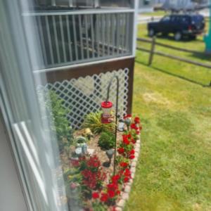 Photo #11 of 8238 SEASHELL DR, CHINCOTEAGUE, VA 50.0 acres