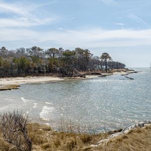 Photo #68 of 5086 PEACEFUL POND DR, EXMORE, VA 1.3 acres