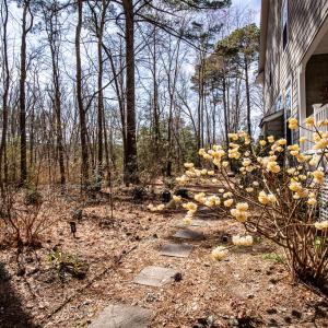 Professionally landscaped