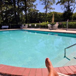 Relax by the pool by the bat