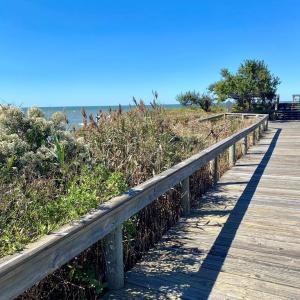 Walk to the bay beach