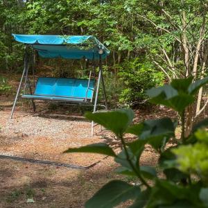 Relax in the yard