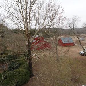 Photo #30 of 7337 BAYSIDE RD, FRANKTOWN, VA 9.5 acres