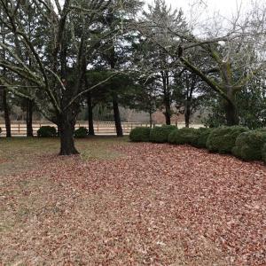 Photo #42 of 7337 BAYSIDE RD, FRANKTOWN, VA 9.5 acres