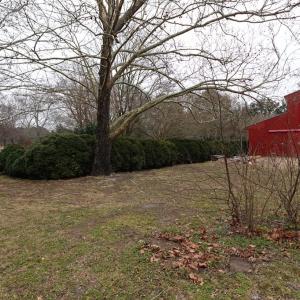 Photo #46 of 7337 BAYSIDE RD, FRANKTOWN, VA 9.5 acres