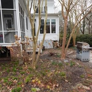 Photo #64 of 7337 BAYSIDE RD, FRANKTOWN, VA 9.5 acres