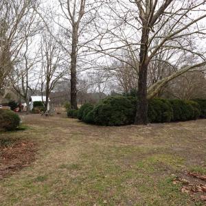 Photo #47 of 7337 BAYSIDE RD, FRANKTOWN, VA 9.5 acres