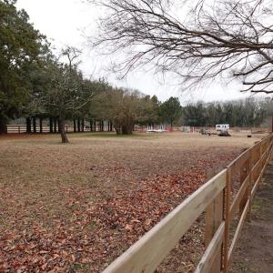 Photo #75 of 7337 BAYSIDE RD, FRANKTOWN, VA 9.5 acres